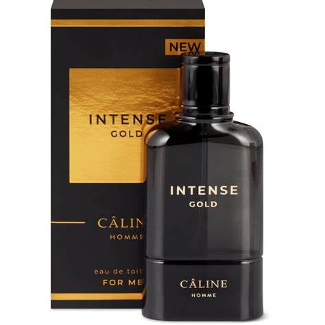 celine homme intense gold|Intense Gold Câline cologne .